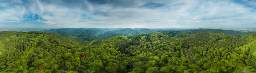 360° Luftbild Panorama Pfälzer Wald
